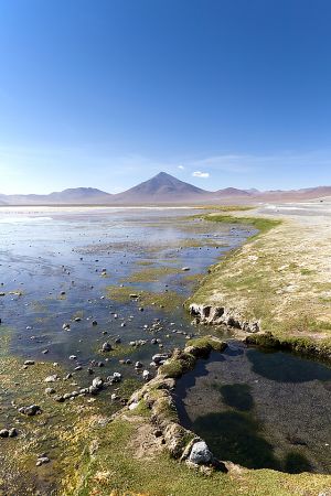 Ojo de Perdiz - Bolivian Border 052.jpg